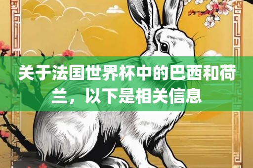 关于法国世界杯中的巴西和荷兰，以下是相关信息