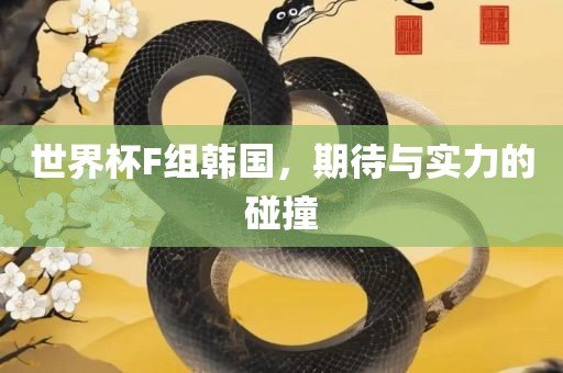 世界杯F组韩国，期待与实力的碰撞