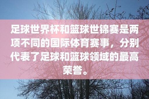 足球世界杯和篮球世锦赛是两项不同的国际体育赛事，分别代表了足球和篮球领域的最高荣誉。