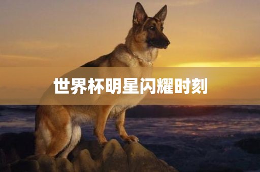 gongjiaming 第7页
