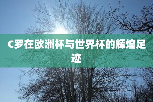 C罗在欧洲杯与世界杯的辉煌足迹