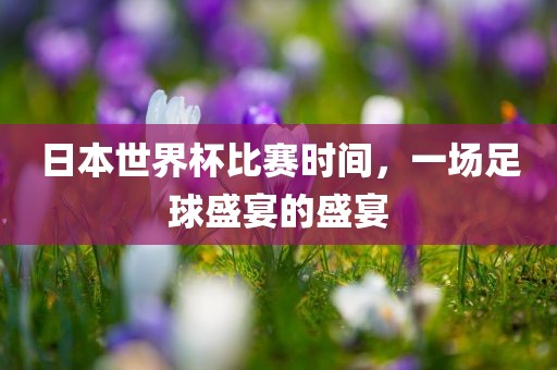 日本世界杯比赛时间，一场足球盛宴的盛宴