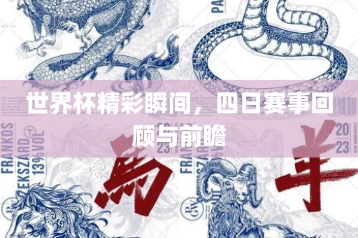世界杯精彩瞬间，四日赛事回顾与前瞻