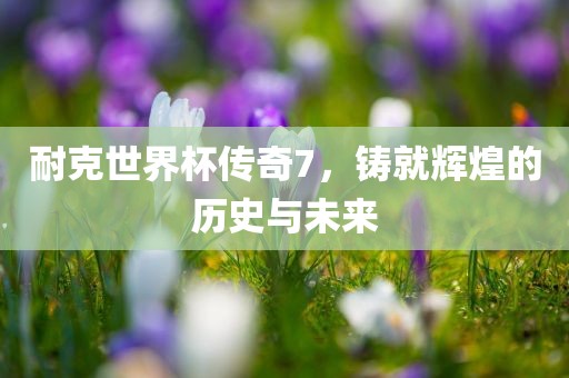 耐克世界杯传奇7，铸就辉煌的历史与未来