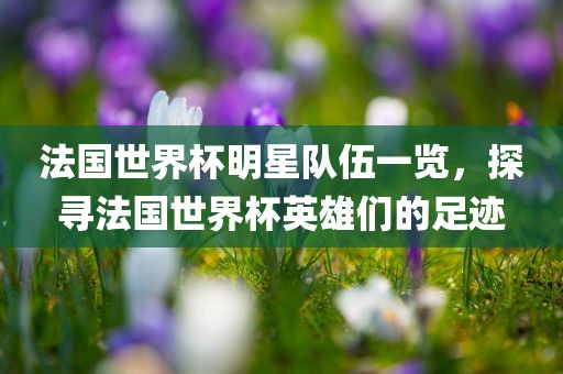 法国世界杯明星队伍一览，探寻法国世界杯英雄们的足迹