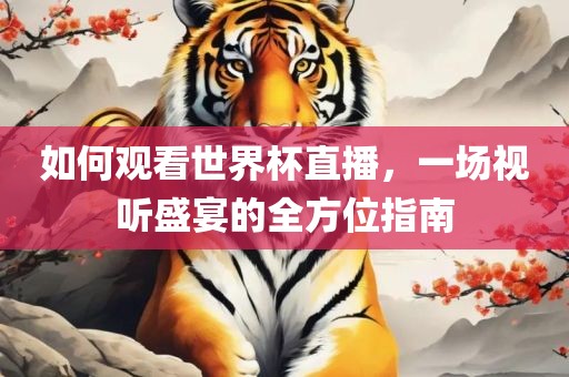 如何观看世界杯直播，一场视听盛宴的全方位指南