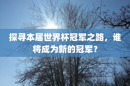 探寻本届世界杯冠军之路，谁将成为新的冠军？