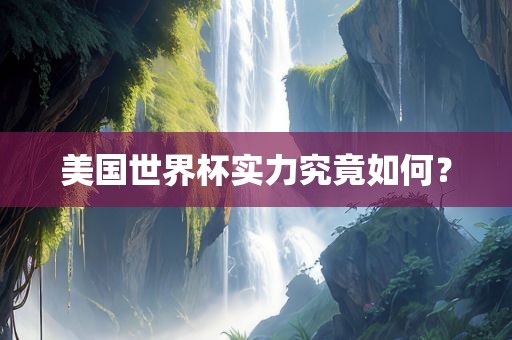 美国世界杯实力究竟如何？