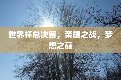 世界杯总决赛，荣耀之战，梦想之巅