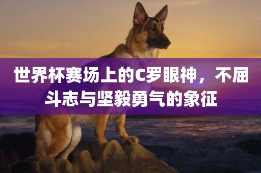 世界杯赛场上的C罗眼神，不屈斗志与坚毅勇气的象征