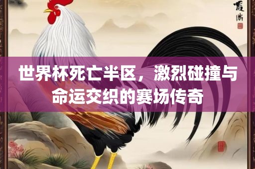 世界杯死亡半区，激烈碰撞与命运交织的赛场传奇