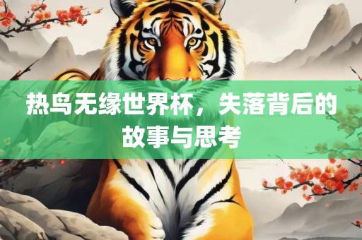 热鸟无缘世界杯，失落背后的故事与思考