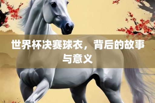 世界杯决赛球衣，背后的故事与意义