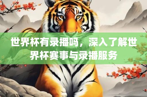 世界杯有录播吗，深入了解世界杯赛事与录播服务