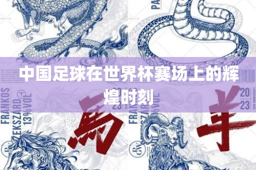 中国足球在世界杯赛场上的辉煌时刻