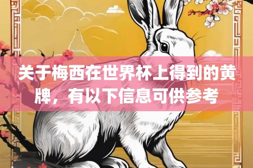 关于梅西在世界杯上得到的黄牌，有以下信息可供参考