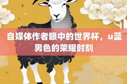 自媒体作者眼中的世界杯，u蓝男色的荣耀时刻