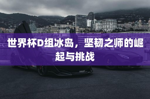 世界杯D组冰岛，坚韧之师的崛起与挑战