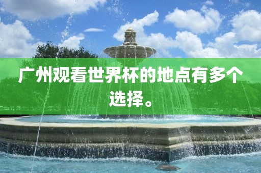 广州观看世界杯的地点有多个选择。