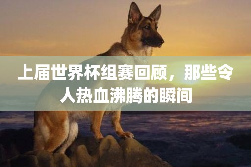 上届世界杯组赛回顾，那些令人热血沸腾的瞬间