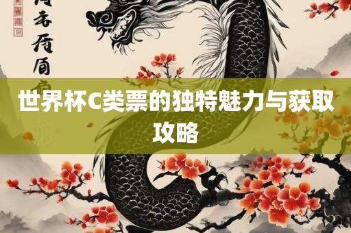 世界杯C类票的独特魅力与获取攻略
