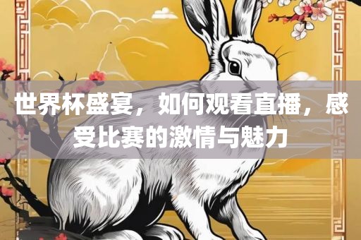 世界杯盛宴，如何观看直播，感受比赛的激情与魅力