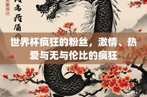 世界杯疯狂的粉丝，激情、热爱与无与伦比的疯狂