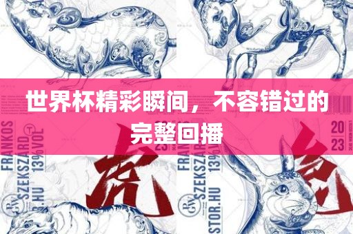 世界杯精彩瞬间，不容错过的完整回播