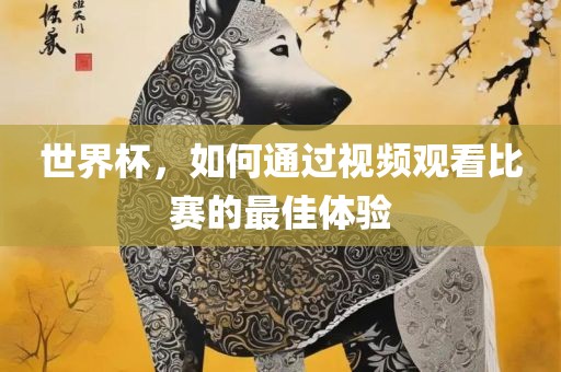 世界杯，如何通过视频观看比赛的最佳体验