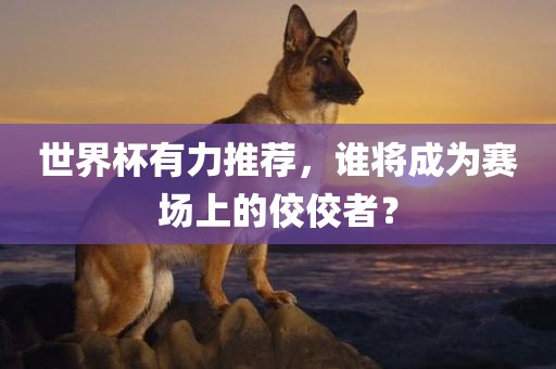 世界杯有力推荐，谁将成为赛场上的佼佼者？