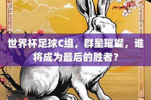 世界杯足球C组，群星璀璨，谁将成为最后的胜者？
