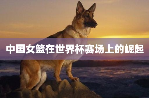中国女篮在世界杯赛场上的崛起