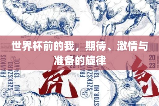 世界杯前的我，期待、激情与准备的旋律