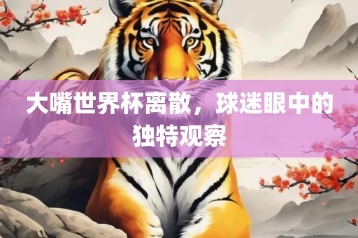 大嘴世界杯离散，球迷眼中的独特观察