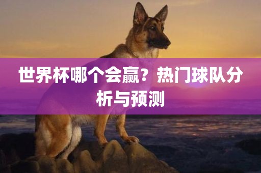 世界杯哪个会赢？热门球队分析与预测