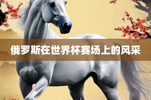 俄罗斯在世界杯赛场上的风采