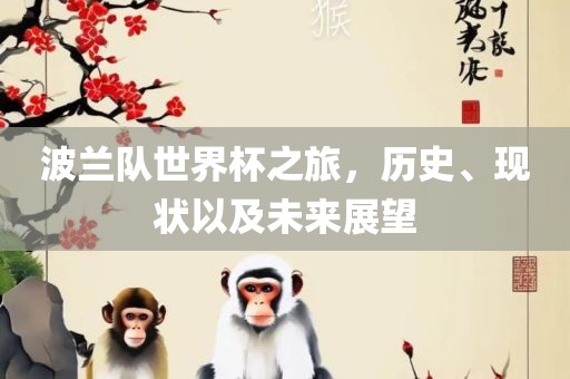 波兰队世界杯之旅，历史、现状以及未来展望