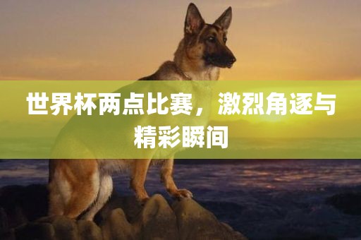 世界杯两点比赛，激烈角逐与精彩瞬间
