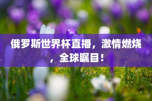 俄罗斯世界杯直播，激情燃烧，全球瞩目！