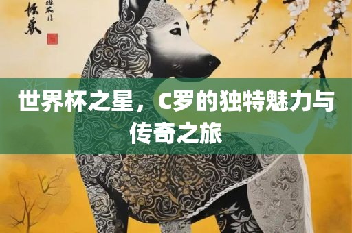 世界杯之星，C罗的独特魅力与传奇之旅