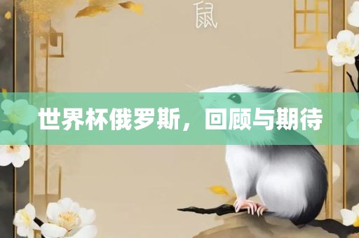 世界杯俄罗斯，回顾与期待