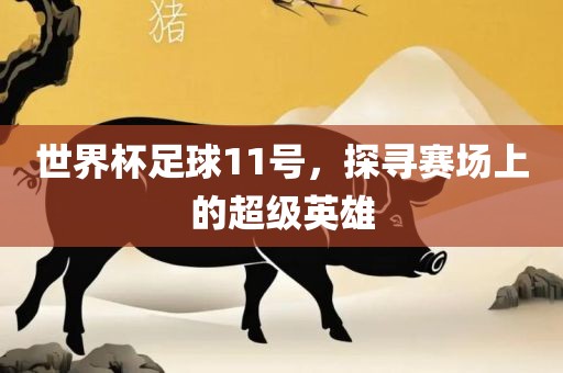 世界杯足球11号，探寻赛场上的超级英雄