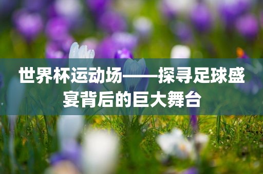 世界杯运动场——探寻足球盛宴背后的巨大舞台