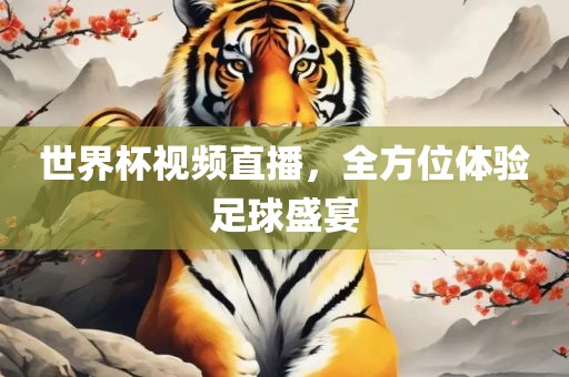 世界杯视频直播，全方位体验足球盛宴