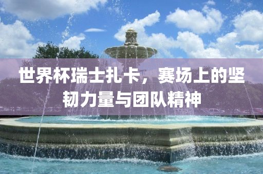 世界杯瑞士扎卡，赛场上的坚韧力量与团队精神
