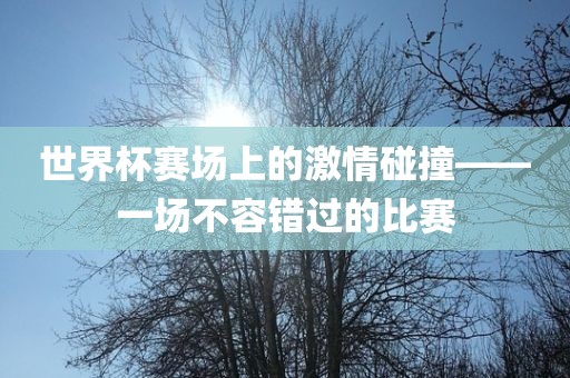 世界杯赛场上的激情碰撞——一场不容错过的比赛