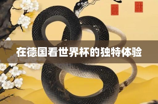 在德国看世界杯的独特体验