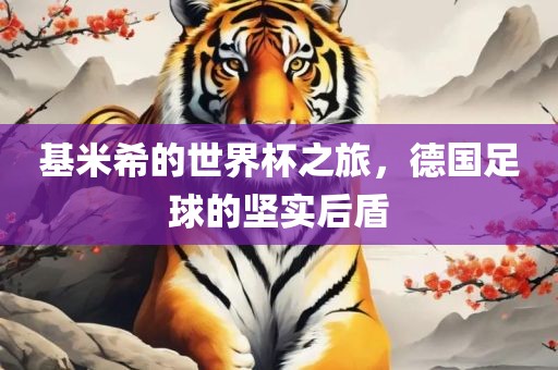 基米希的世界杯之旅，德国足球的坚实后盾