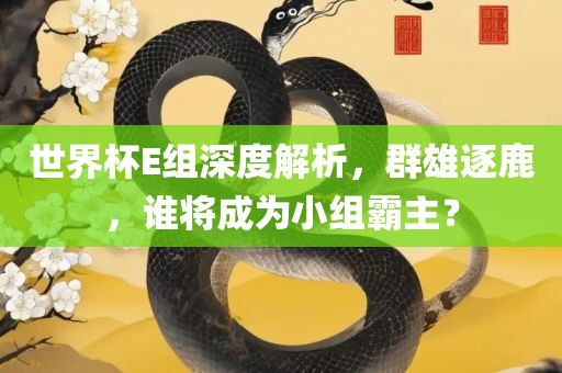 世界杯E组深度解析，群雄逐鹿，谁将成为小组霸主？