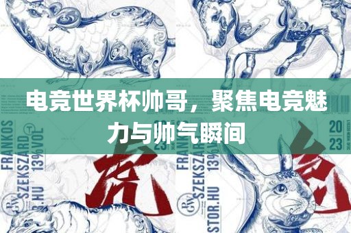 电竞世界杯帅哥，聚焦电竞魅力与帅气瞬间